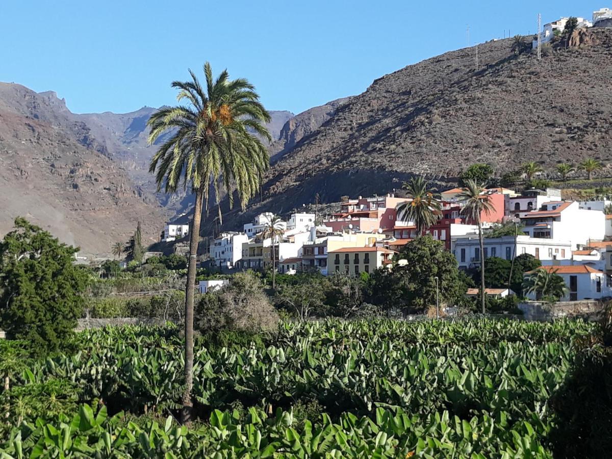 Los Olivos 플라야 데 산티아고 외부 사진