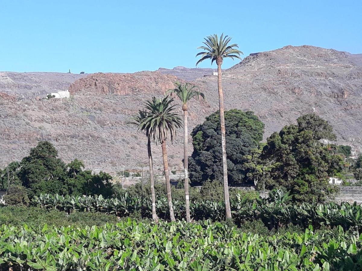 Los Olivos 플라야 데 산티아고 외부 사진