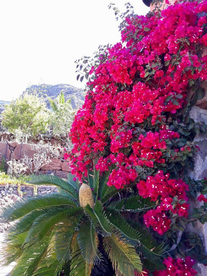 Los Olivos 플라야 데 산티아고 외부 사진
