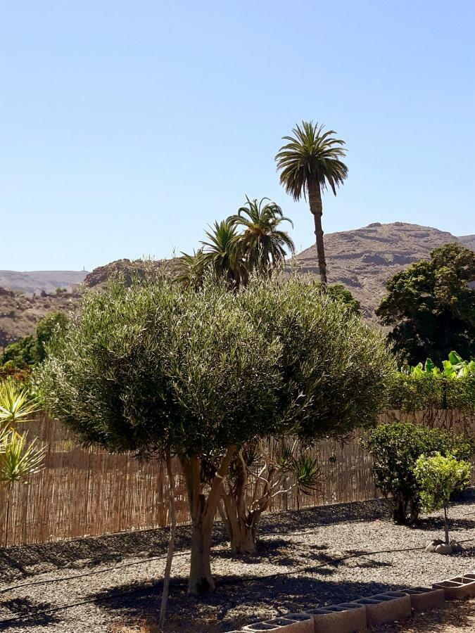 Los Olivos 플라야 데 산티아고 외부 사진